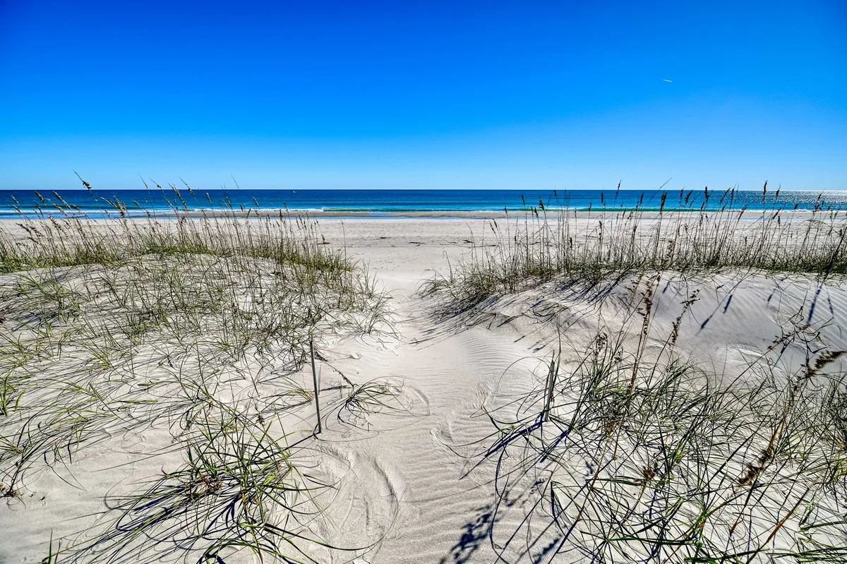 A panoramic view capturing natural beach grass, rolling sand dunes, and the shimmering ocean beneath an open sky. The setting feels serene and untouched, showcasing the simple pleasures of the seaside.