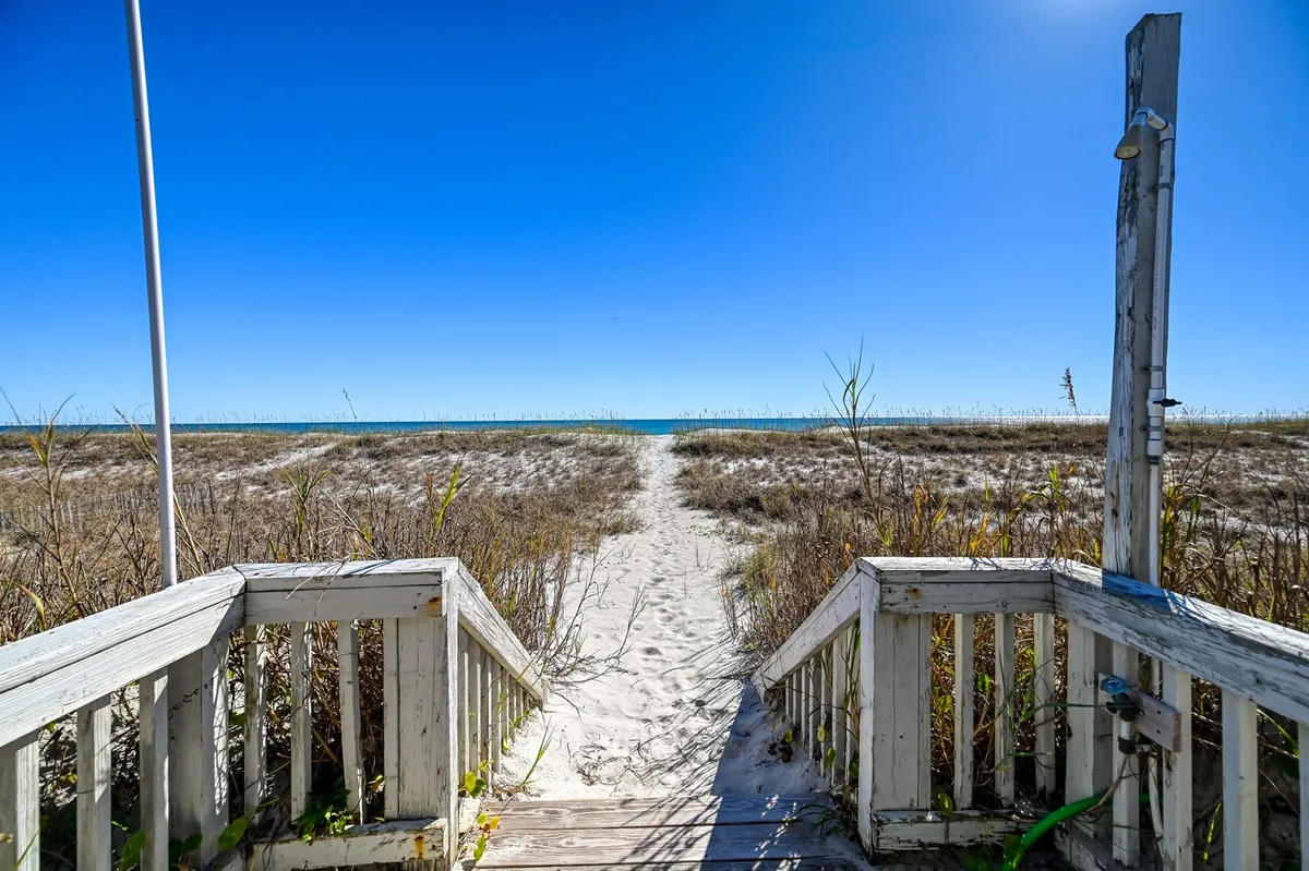 The image highlights a wooden stairway leading down a sandy path toward the ocean, framed by gentle dunes and native vegetation. The inviting scene suggests peaceful walks to the beach at sunrise or sunset—ideal moments for guests with dogs.